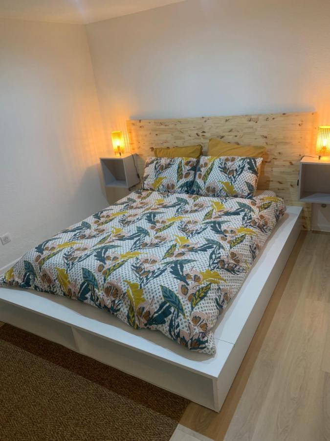 Chouett'Appart Proche Frontieres Village-Neuf ภายนอก รูปภาพ